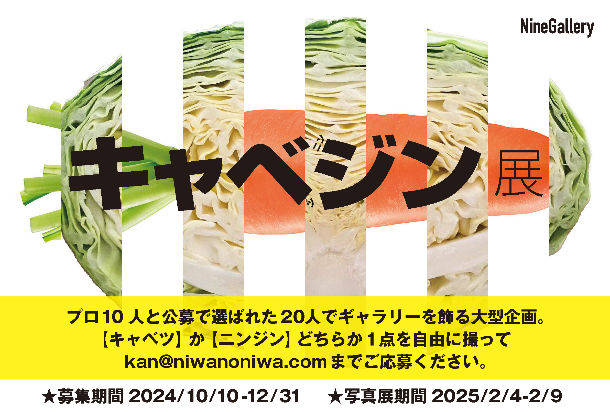 キャベジン展」開催予告〜プロとアマによる同一テーマ比較型写真展 